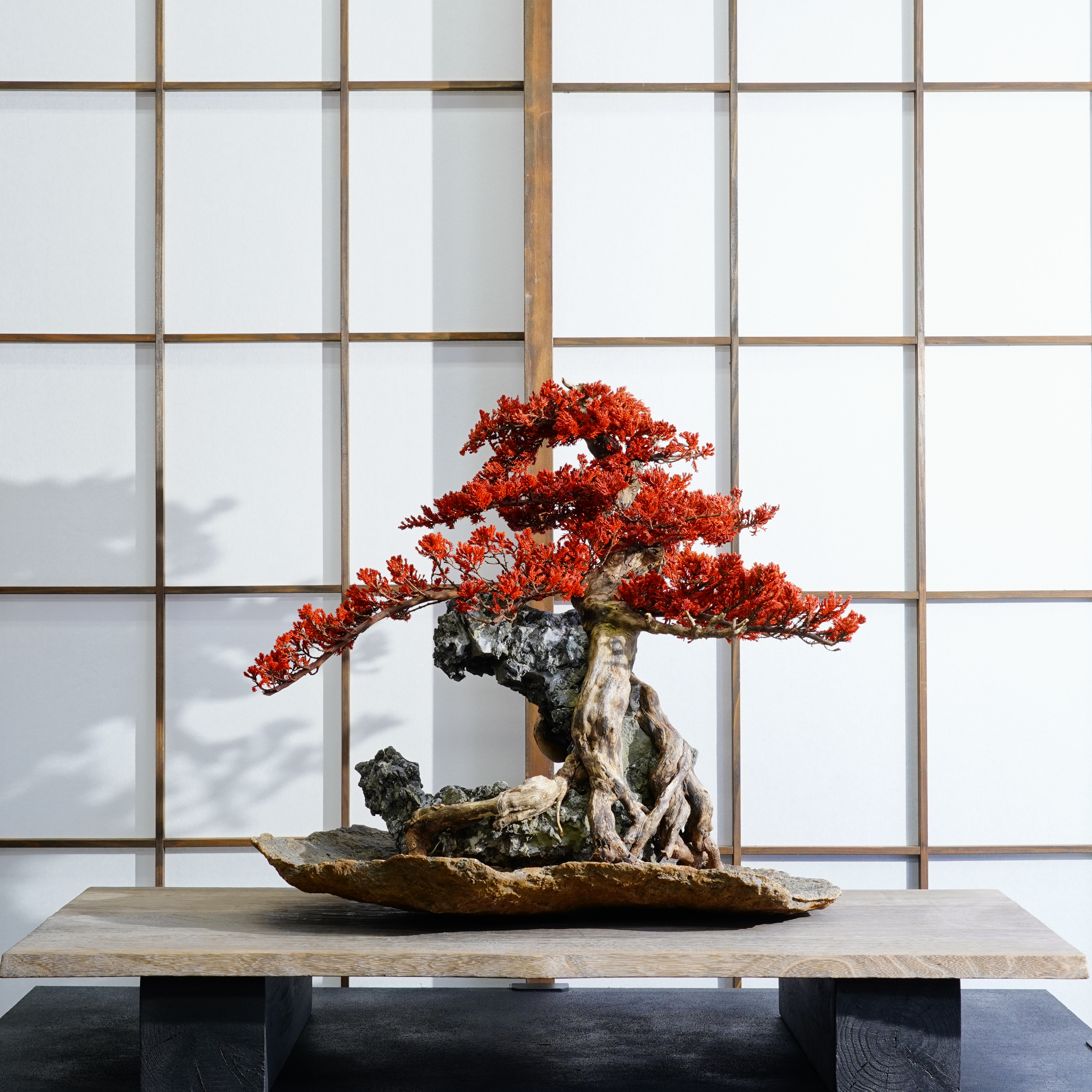 赤巌-sekigan-